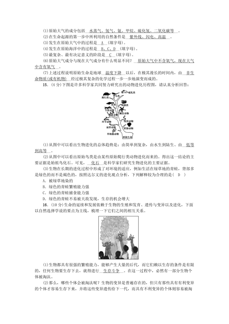 2019-2020年中考生物第26讲生命起源和生物进化复习练习.doc_第3页