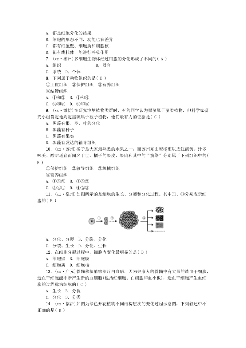 2019-2020年中考生物第4讲细胞怎样构成生物体复习练习.doc_第2页