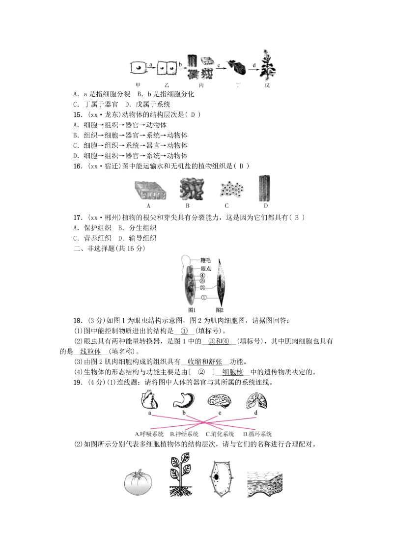 2019-2020年中考生物第4讲细胞怎样构成生物体复习练习.doc_第3页