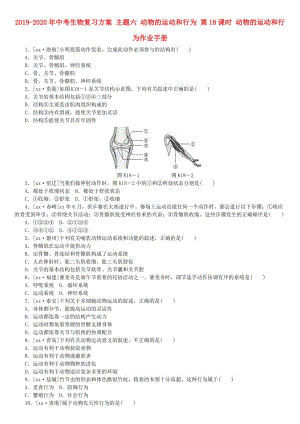 2019-2020年中考生物復(fù)習(xí)方案 主題六 動(dòng)物的運(yùn)動(dòng)和行為 第18課時(shí) 動(dòng)物的運(yùn)動(dòng)和行為作業(yè)手冊(cè).doc