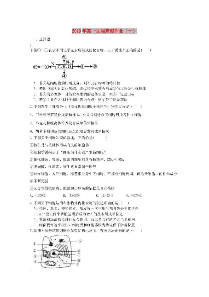 2019年高一生物寒假作业（十） .doc_第1页