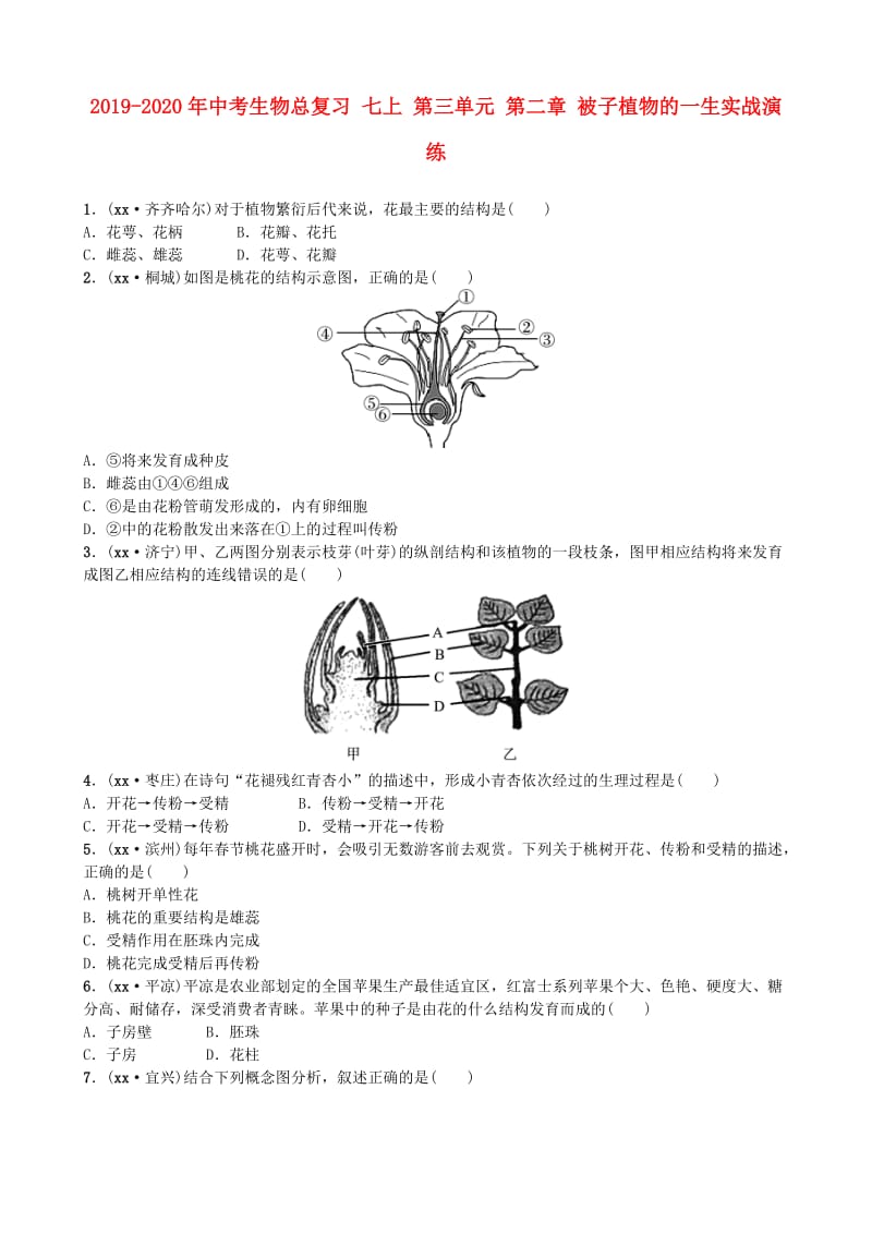 2019-2020年中考生物总复习 七上 第三单元 第二章 被子植物的一生实战演练.doc_第1页