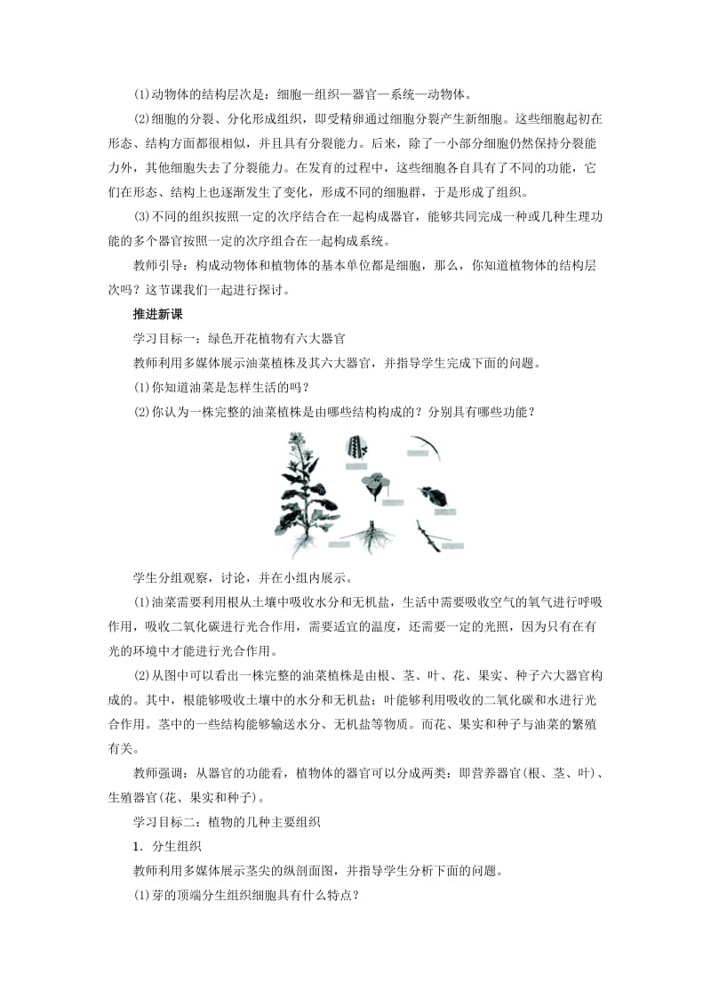 2019-2020年七年级生物上册 2.2.3 植物体的结构层次教学设计 （新版）新人教版.doc_第3页