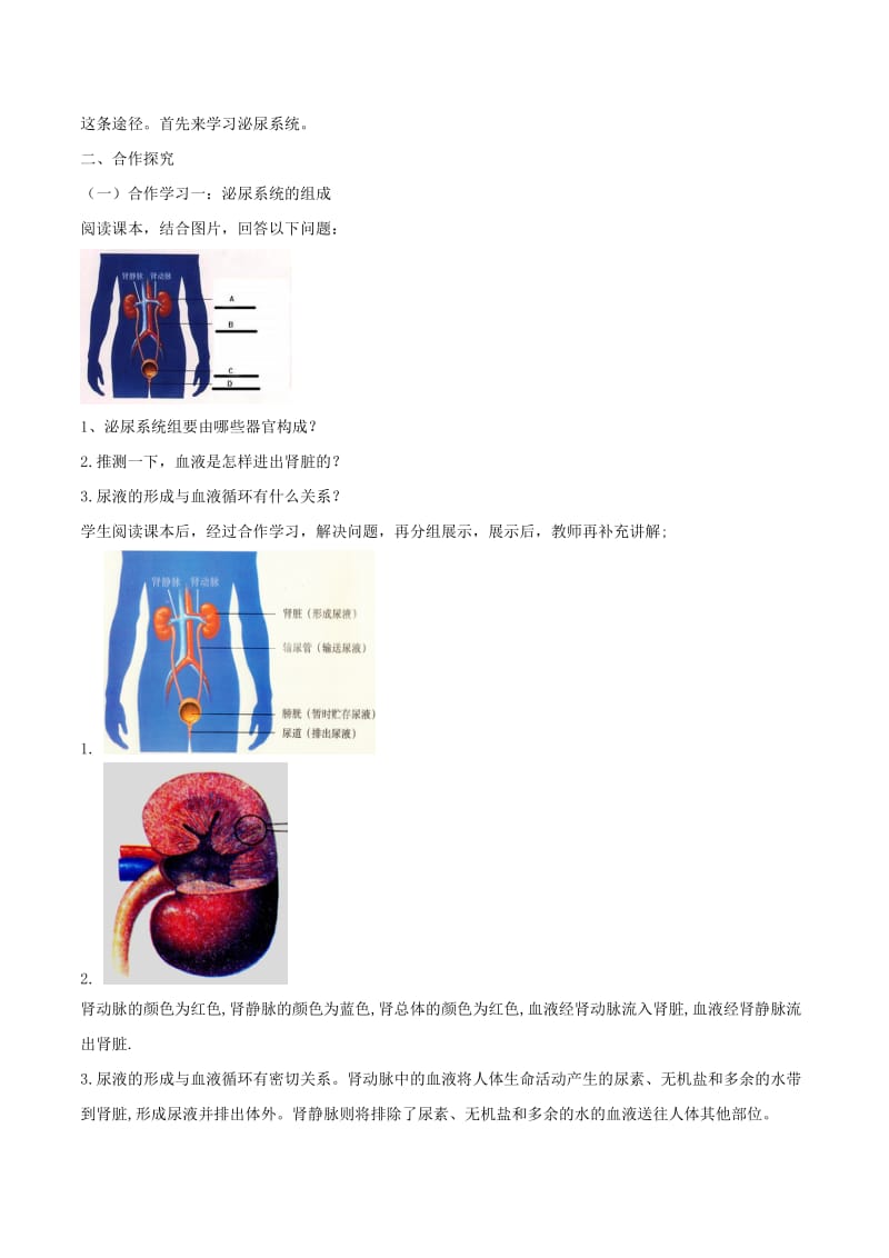 2019-2020年七年级生物下册第4单元第5章人体内代谢废物的排出教案新版新人教版.doc_第2页