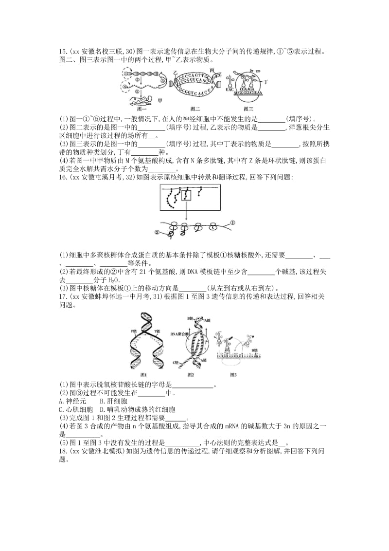 2019年高考生物总复习 第6单元 第4课时 基因的概念和基因的表达练习.doc_第3页