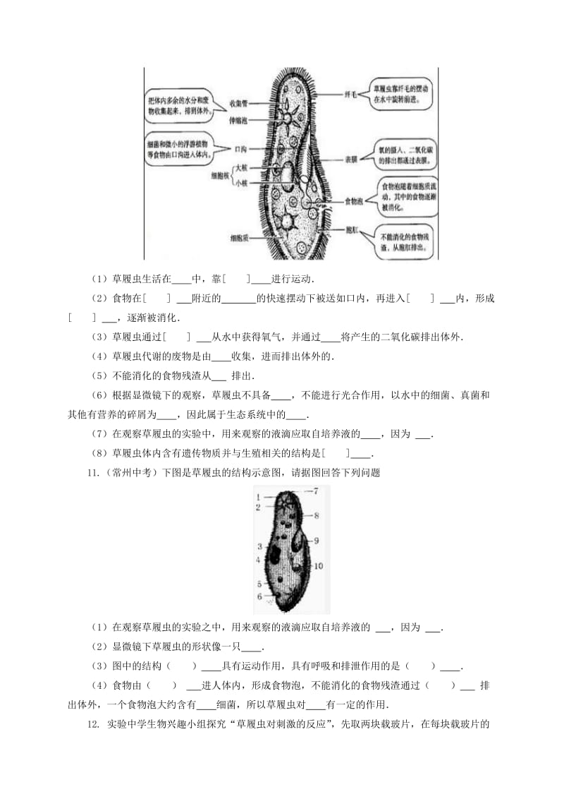 2019-2020年七年级生物上册2.2.4单细胞生物课后作业新版新人教版.doc_第2页