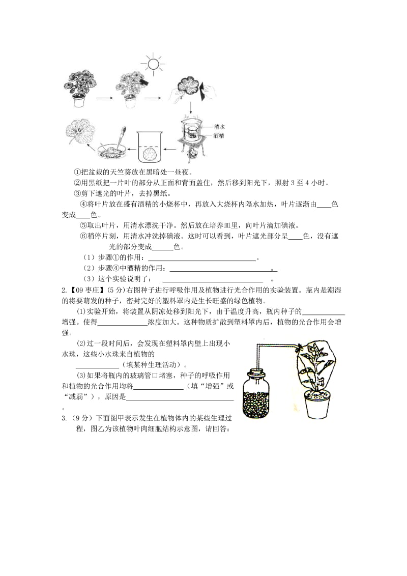 2019-2020年七年级生物上册 绿色植物通过光合作用制造有机物复习教案 人教新课标版.doc_第3页