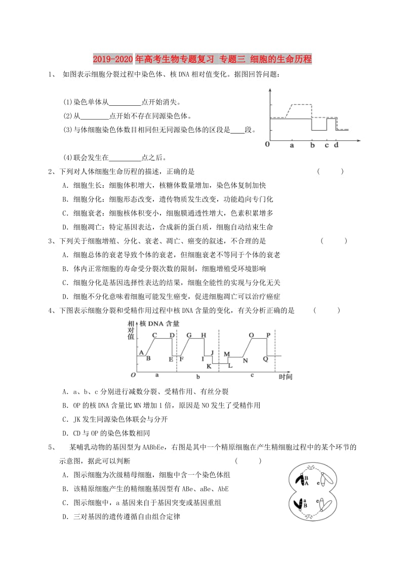 2019-2020年高考生物专题复习 专题三 细胞的生命历程.doc_第1页