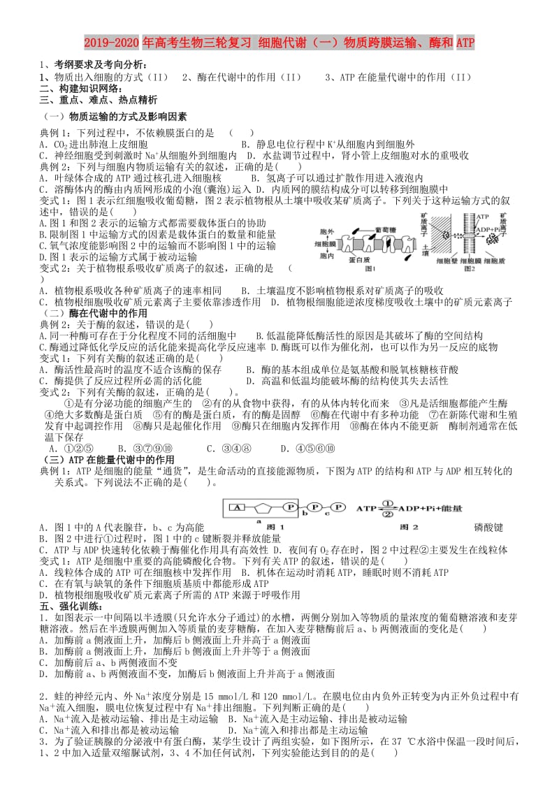 2019-2020年高考生物三轮复习 细胞代谢（一）物质跨膜运输、酶和ATP.doc_第1页