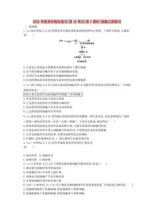 2019年高考生物總復(fù)習 第14單元 第2課時 細胞工程練習.doc