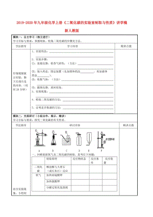 2019-2020年九年級化學(xué)上冊《二氧化碳的實(shí)驗(yàn)室制取與性質(zhì)》講學(xué)稿 新人教版.doc