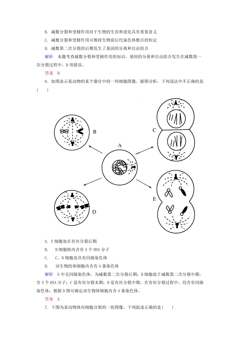 2019年高中生物 减数分裂与生物遗传双基限时练 新人教版必修2.doc_第2页