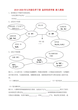 2019-2020年九年級化學(xué)下冊 鹽的性質(zhì)學(xué)案 新人教版.doc