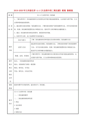 2019-2020年九年級(jí)化學(xué) 4.4《大自然中的二氧化碳》教案 魯教版.doc