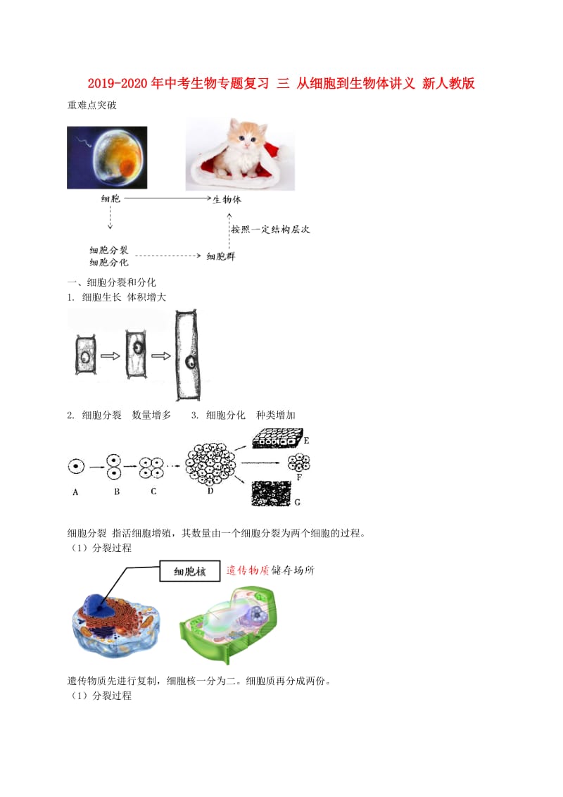 2019-2020年中考生物专题复习 三 从细胞到生物体讲义 新人教版.doc_第1页