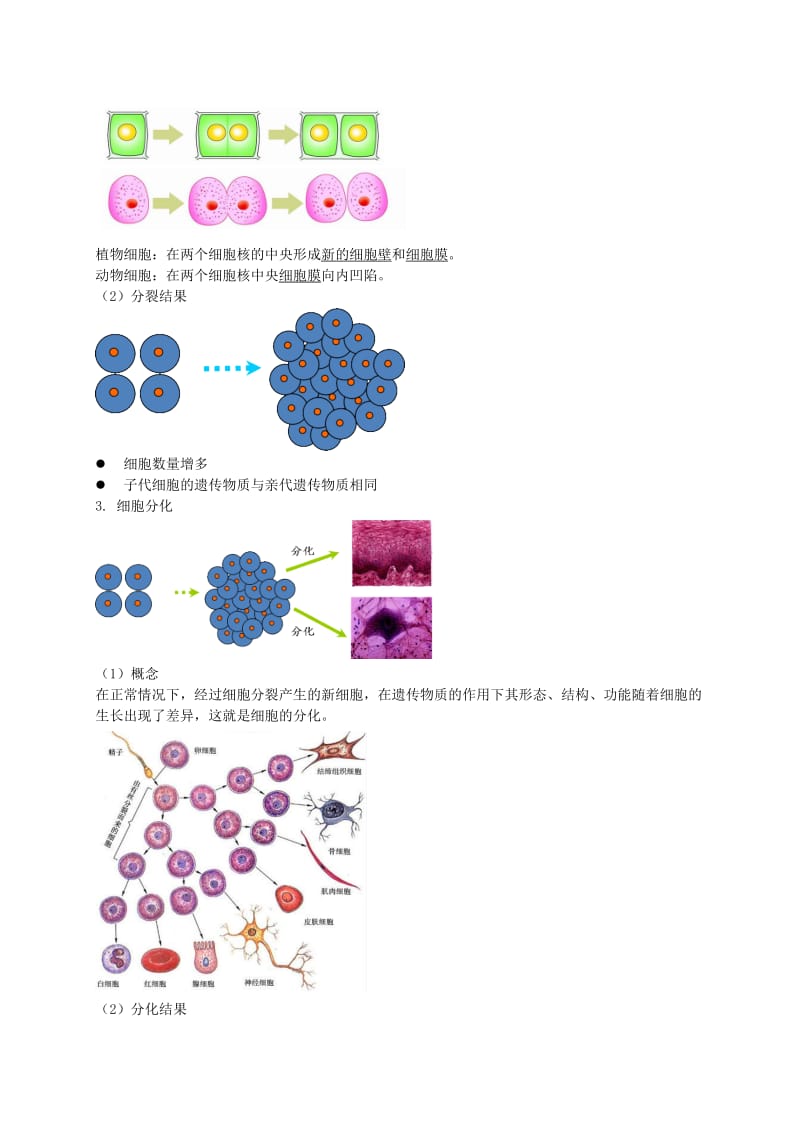 2019-2020年中考生物专题复习 三 从细胞到生物体讲义 新人教版.doc_第2页