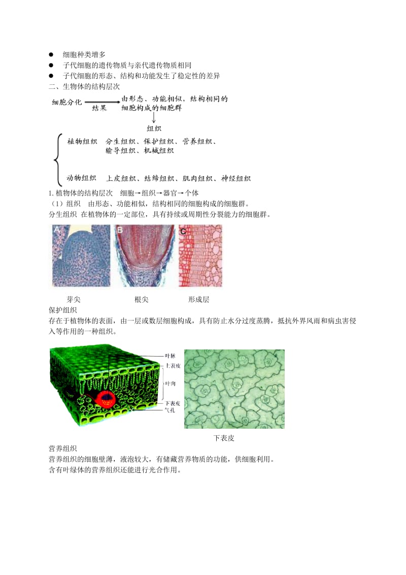 2019-2020年中考生物专题复习 三 从细胞到生物体讲义 新人教版.doc_第3页