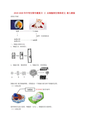 2019-2020年中考生物專題復(fù)習(xí) 三 從細(xì)胞到生物體講義 新人教版.doc