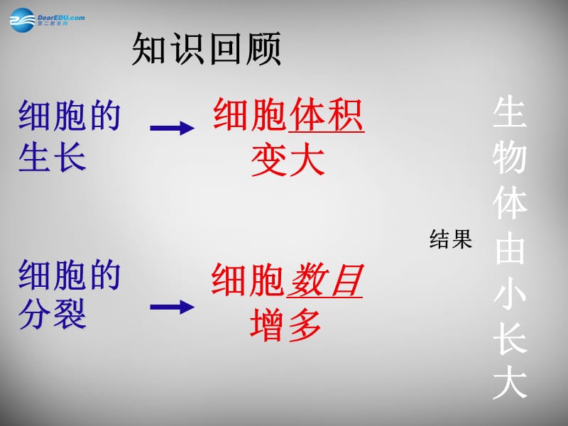 人教初中生物七上《第2单元 第2章 第2节 动物体的结构层次》PPT课件 (19)_第1页