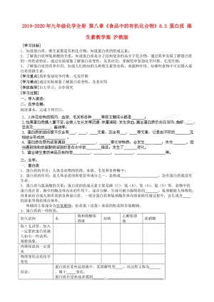 2019-2020年九年級化學(xué)全冊 第八章《食品中的有機(jī)化合物》8.3 蛋白質(zhì) 維生素教學(xué)案 滬教版.doc