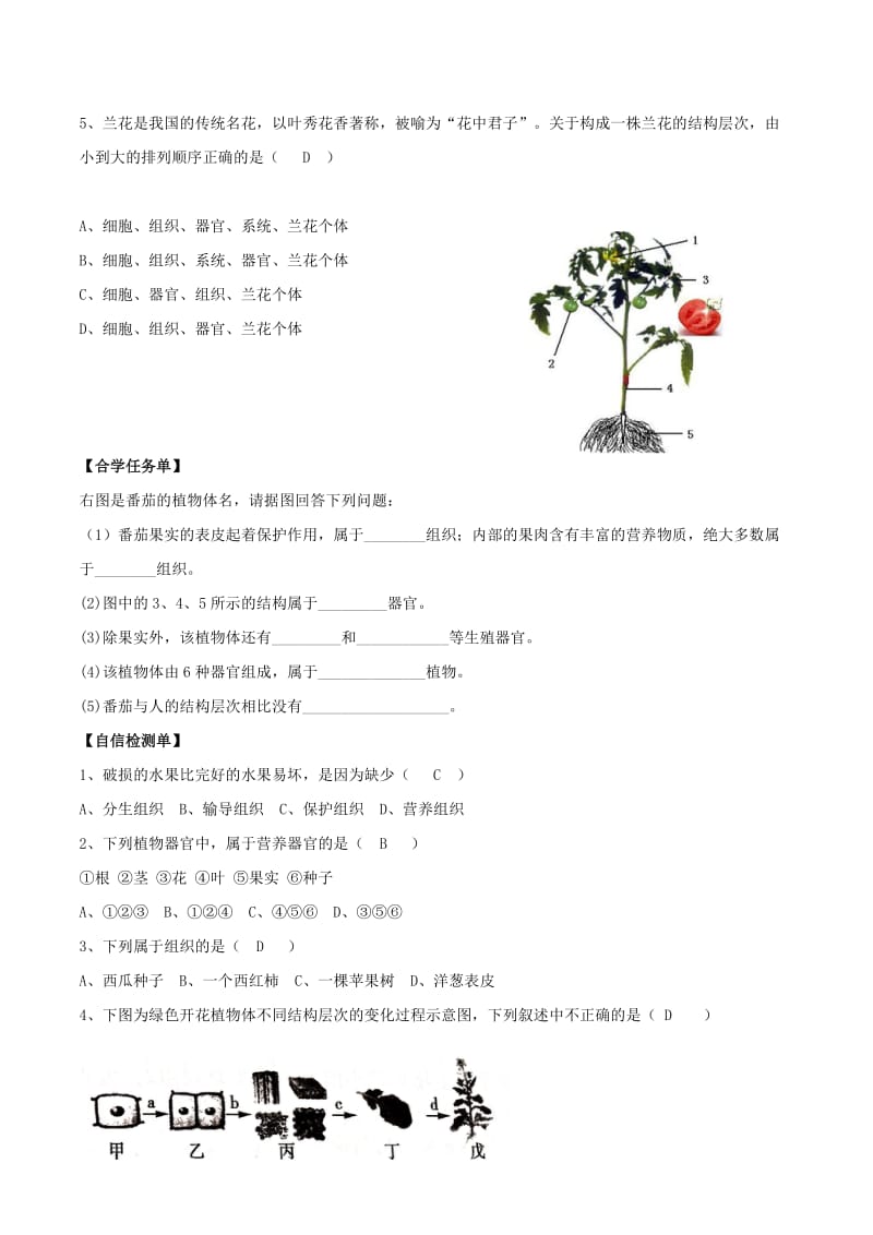 2019-2020年七年级生物上册2.2.3植物体的结构层次导学案答案不全新版新人教版.doc_第2页