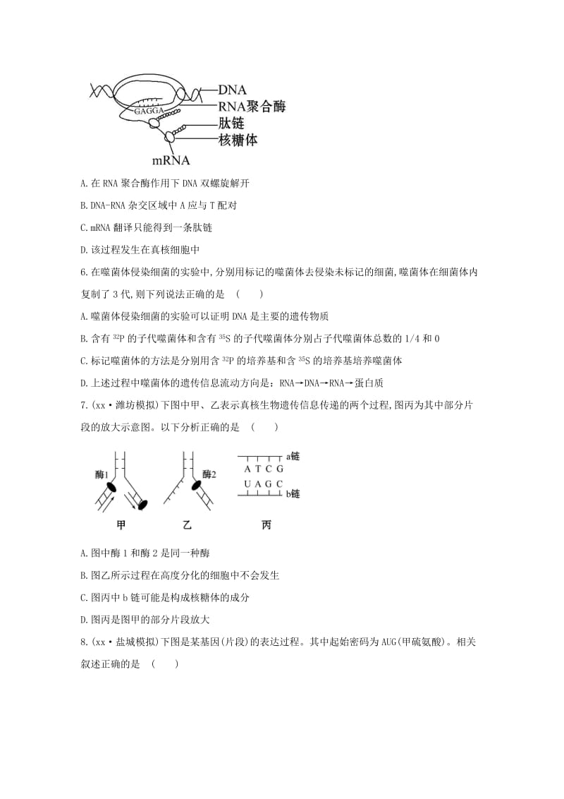 2019年高考生物 专题辅导与训练四 第1讲遗传的物质基础.doc_第2页