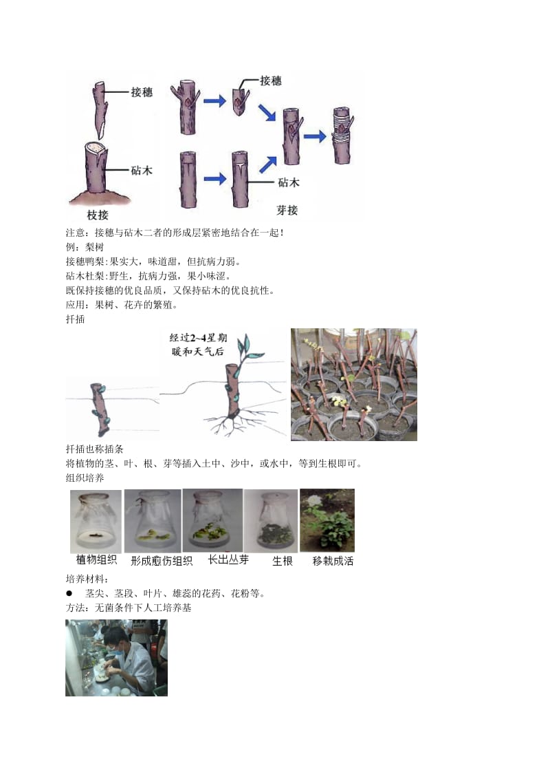 2019-2020年中考生物专题复习十七生物的生殖和发育讲义新人教版.doc_第3页