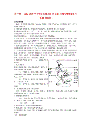 2019-2020年七年級生物上冊 第1章 生物與環(huán)境章復(fù)習(xí)教案 蘇科版.doc