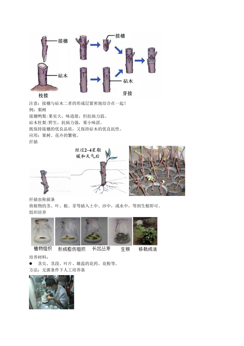 2019-2020年中考生物专题复习 十七 生物的生殖和发育讲义 新人教版.doc_第3页