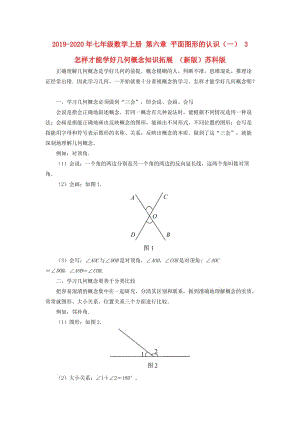 2019-2020年七年級數(shù)學上冊 第六章 平面圖形的認識（一） 3 怎樣才能學好幾何概念知識拓展 （新版）蘇科版.doc