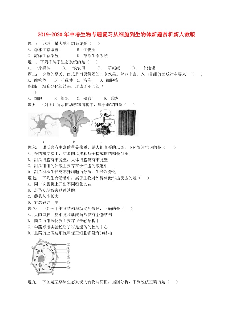 2019-2020年中考生物专题复习从细胞到生物体新题赏析新人教版.doc_第1页