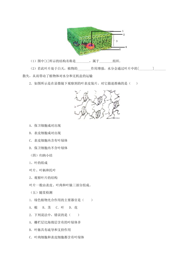 2019-2020年七年级生物上册4.2绿色植物的光合作用教案1北京课改版.doc_第2页