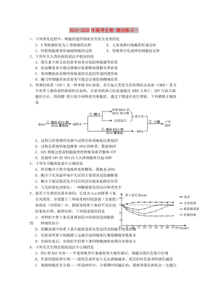 2019-2020年高考生物 滾動(dòng)練習(xí)一.doc