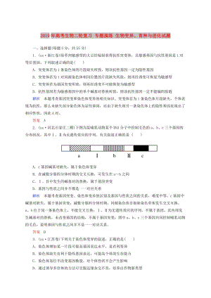 2019年高考生物二輪復(fù)習(xí) 專題演練 生物變異、育種與進(jìn)化試題.doc