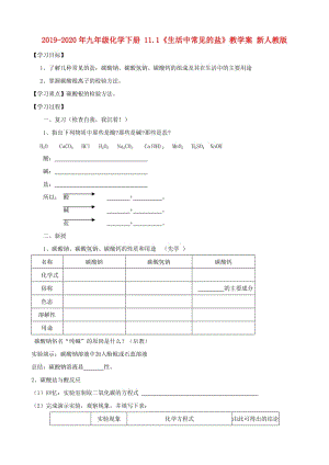 2019-2020年九年級化學(xué)下冊 11.1《生活中常見的鹽》教學(xué)案 新人教版.doc