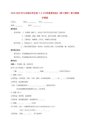 2019-2020年九年級化學(xué)全冊 7.3《幾種重要的鹽》（第3課時）復(fù)習(xí)教案 滬教版.doc