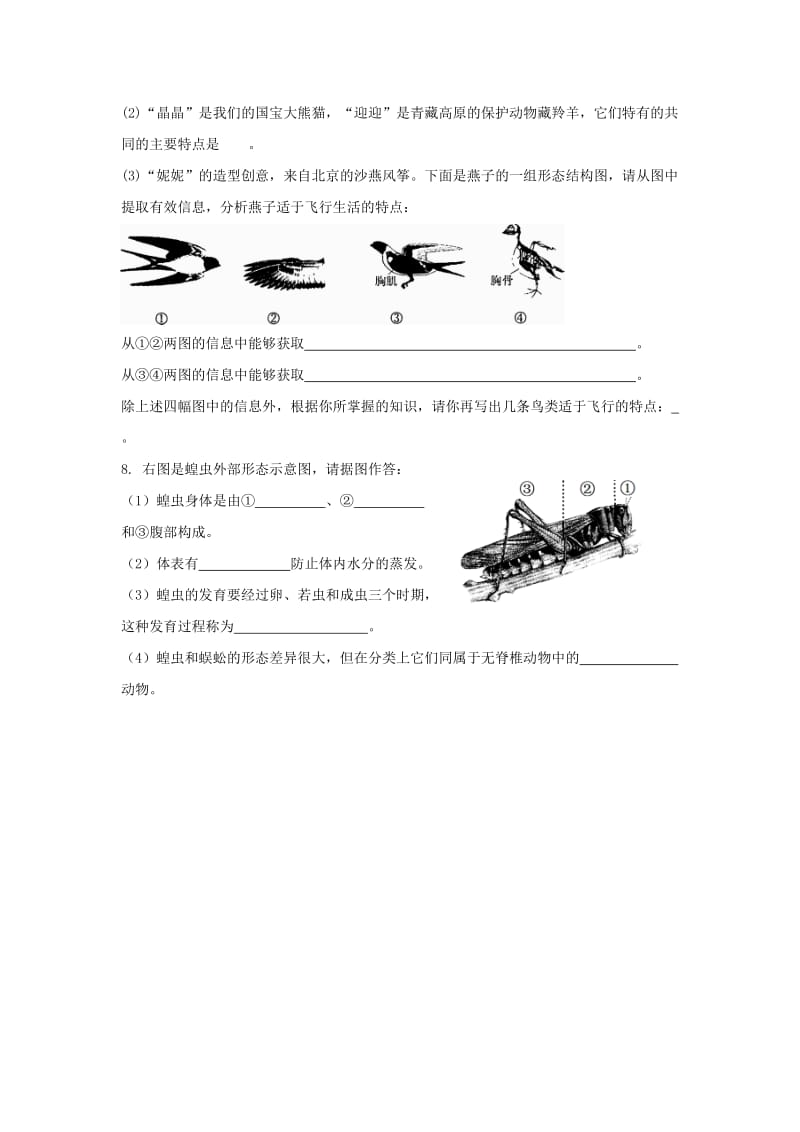 2019-2020年七年级生物下册 第11章《空中的生物》复习教案 苏科版.doc_第3页