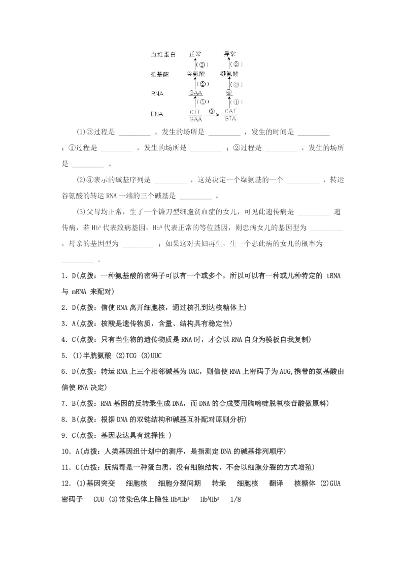 2019-2020年高考生物 第四章《基因的表达》基础练习.doc_第3页