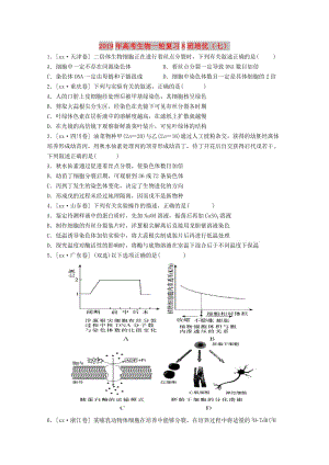 2019年高考生物一輪復習8班培優(yōu)（七）.doc