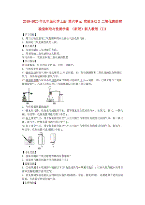 2019-2020年九年級(jí)化學(xué)上冊(cè) 第六單元 實(shí)驗(yàn)活動(dòng)2 二氧化碳的實(shí)驗(yàn)室制取與性質(zhì)學(xué)案 （新版）新人教版 (II).doc