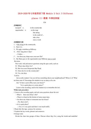 2019-2020年七年級(jí)英語下冊(cè) Module 2 Unit 3 Different places（1）教案 牛津沈陽版.doc