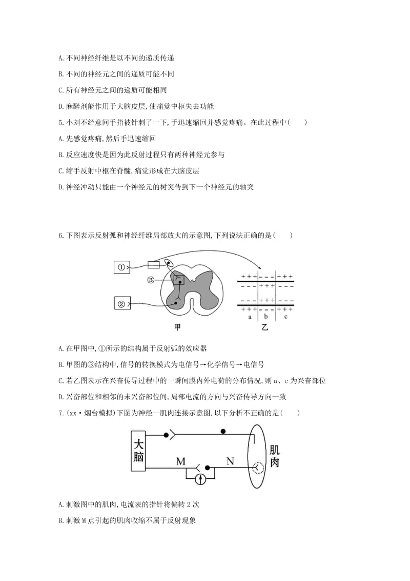 2019-2020年高考生物 通过神经系统的调节课时作业.doc_第2页