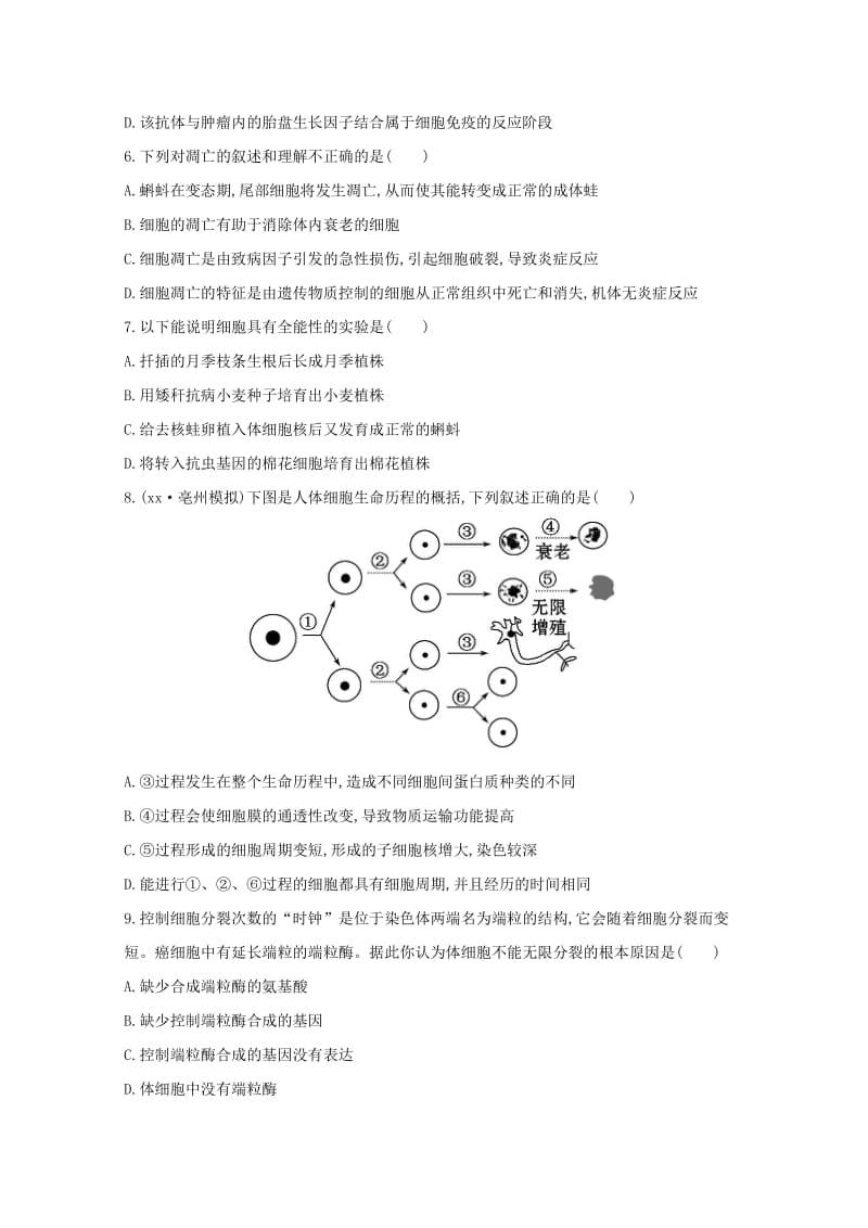 2019-2020年高考生物 细胞的分化 细胞的衰老和凋亡 细胞的癌变课时作业.doc_第2页