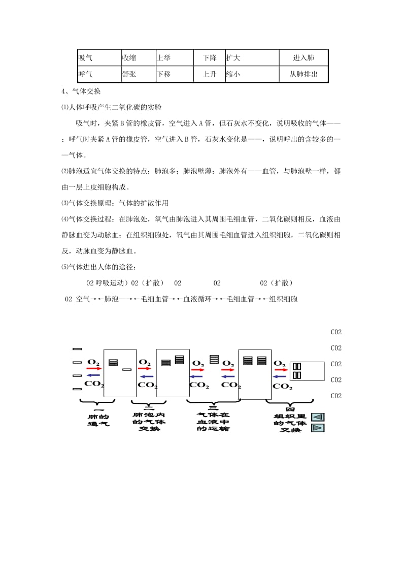 2019-2020年七年级生物下册 第6章 能量与呼吸 章复习教案 苏科版.doc_第2页