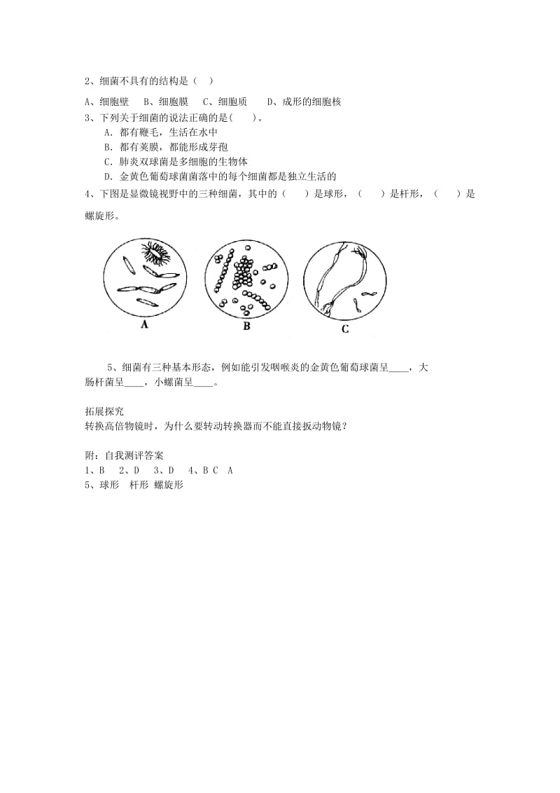 2019-2020年七年级生物上册 第三单元 第三章 第二节 细菌教案 济南版.doc_第2页