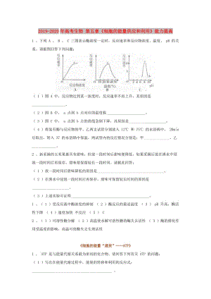 2019-2020年高考生物 第五章《細胞的能量供應(yīng)和利用》能力提高.doc