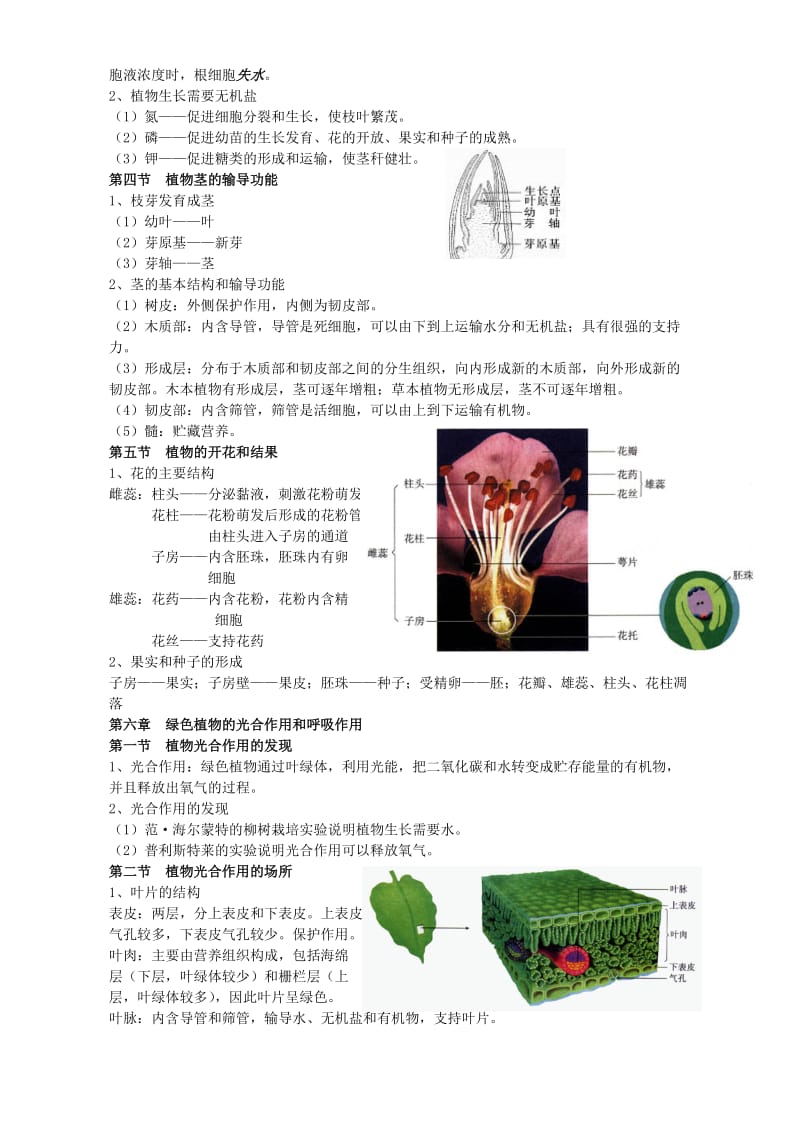 2019-2020年七年级生物第三单元复习教案 苏教版.doc_第2页