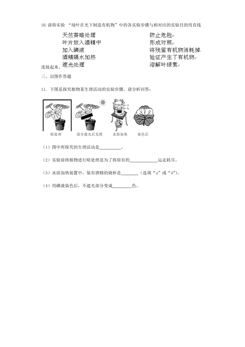 2019-2020年七年级生物上册3.6.3植物光合作用的实质同步测试无答案新版苏教版.doc_第3页