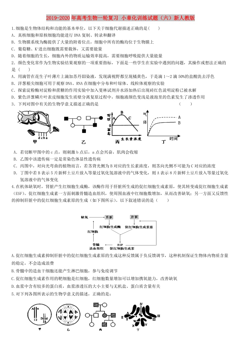 2019-2020年高考生物一轮复习 小章化训练试题（六）新人教版.doc_第1页