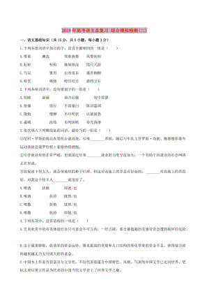 2019年高考語文總復(fù)習(xí) 綜合模擬檢測(二).doc